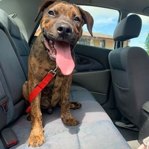 Meet your Posher, Emily